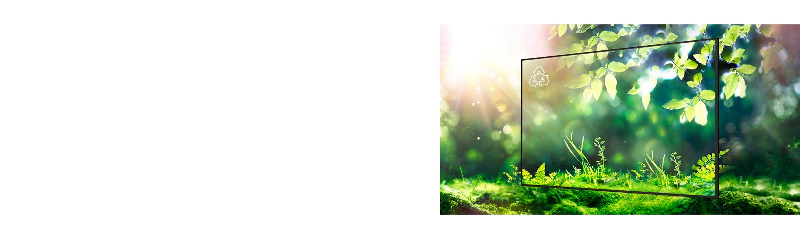 LG חותרת לעתיד בר קיימא באמצעות עמידה בסטנדרטים רגולטורים דוגמת FCC EMC Class B.