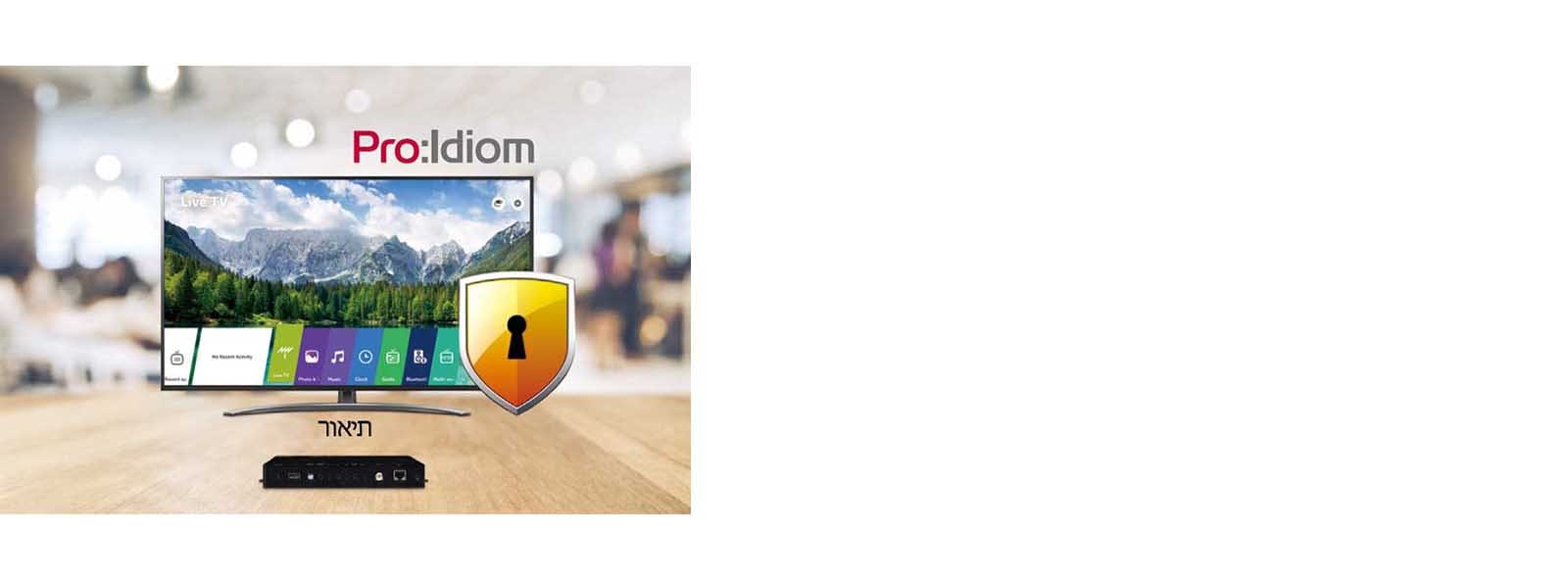 פענוח Pro:Idiom מובנה