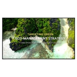 מבט קדמי עם תמונה הדמייה2