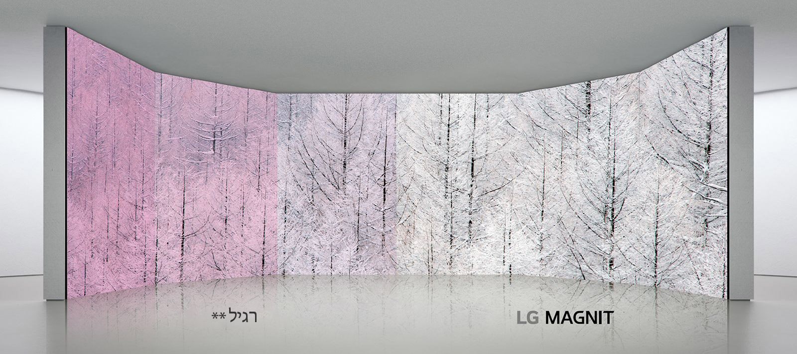 בעוד שמסכי LED רגילים מעוותים צבעים (נראים באדום) בזוויות רחבות שונות, LG MAGNIT מציג תוצאות מדויקות בזווית הצפייה הרחבה.