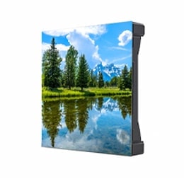 הסדרה המגוונת