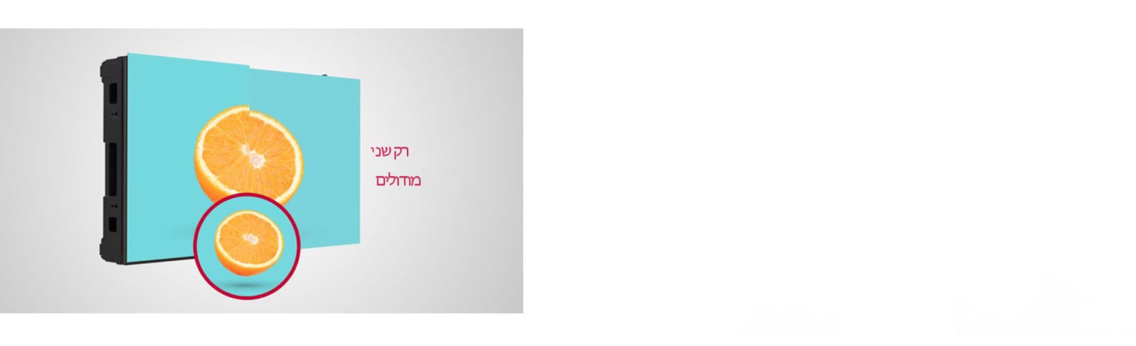 ה-LSBE עושה שימוש בשני מודולים כדי ליצור תא אחד.