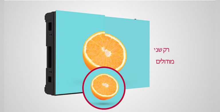 ה-LSBE עושה שימוש בשני מודולים כדי ליצור תא אחד.