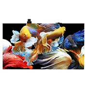 LG Micro LED, מבט קדמי עם תמונה הדמייה, LMPA009BANA, thumbnail 1