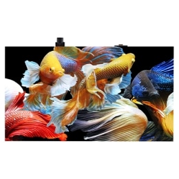 מבט קדמי עם תמונה הדמייה2