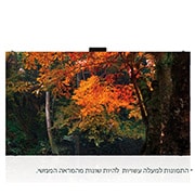 LG סדרת Fine-pitch Essential, LAS025-F, LAS025-F, thumbnail 1