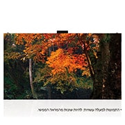 LG סדרת Fine-pitch Essential, front view with inscreen, LAS009-F, thumbnail 1