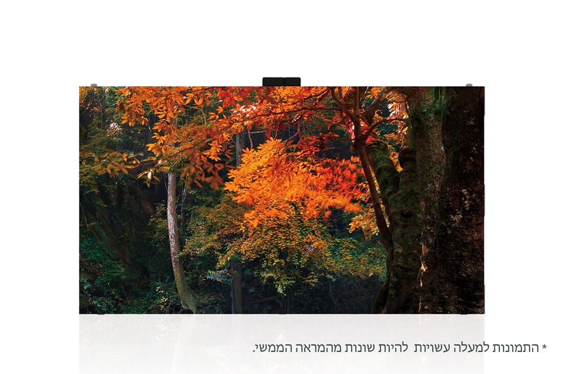 LG סדרת Fine-pitch Essential, front view with inscreen, LAS012-F