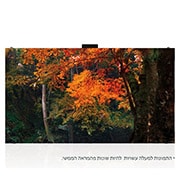 LG סדרת Fine-pitch Essential, front view with inscreen, LAS012-F, thumbnail 1