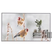 LG OLED שקוף, Front view with infill image, 55EW5P-M, thumbnail 1