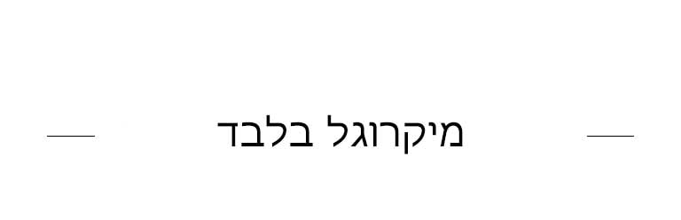 מיקרוגל בלבד