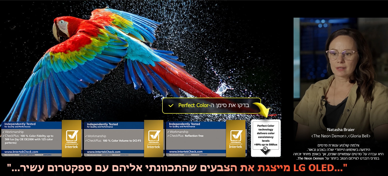 Colorful parrot in ultra-high definition against a black background. Water drops are suspended in the air all around it. The image showcases Perfect Color as each different hue on the parrot's body is vibrant and vivid. The dark background with the detailed water splashes also highlights how the screen is reflection-free. Different logo certifications from UL and Intertek are visible. These refer to its 100% Color Fidelity, 100% Color Volume, and reflection-free claim. Text is also visible, check the Perfect Color certification mark.