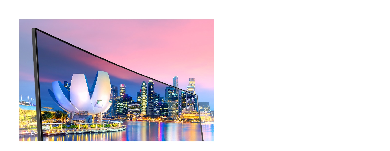 IPS with 99% sRGB (typical): True color and wide display