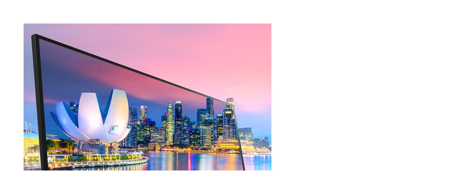 LG 29WL500-B IPS Display