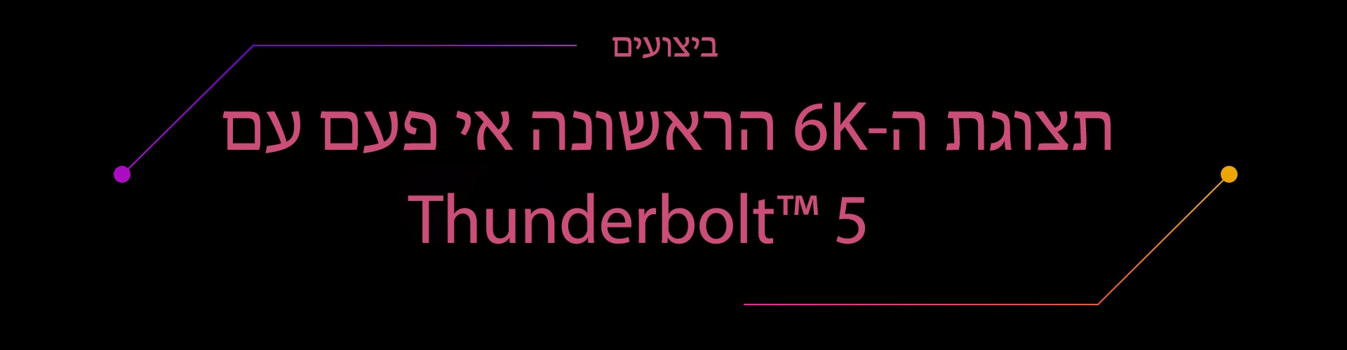 לא כלולות תמונות