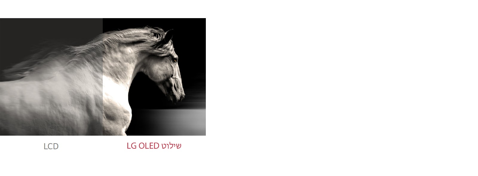 שילוט LG OLED מציג ניגודיות טובה יותר בין שחור ללבן מאשר LCD רגיל.