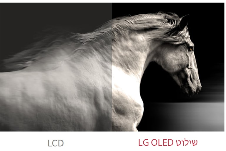 שילוט LG OLED מציג ניגודיות טובה יותר בין שחור ללבן מאשר LCD רגיל.