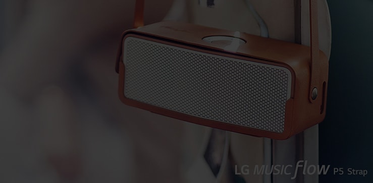 רמקולי Bluetooth ניידים 