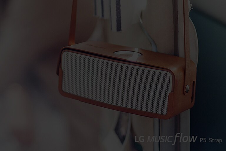 רמקולי Bluetooth ניידים 