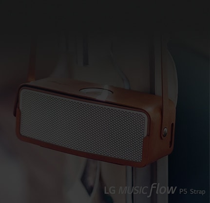 רמקולי Bluetooth ניידים 