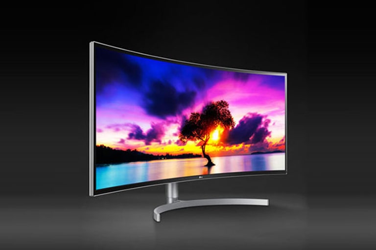 מסכי המחשב של LG 