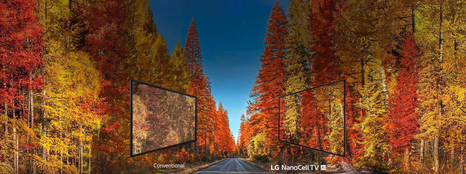 04_SK95_AS_Wide_angle_29042019_D_V1