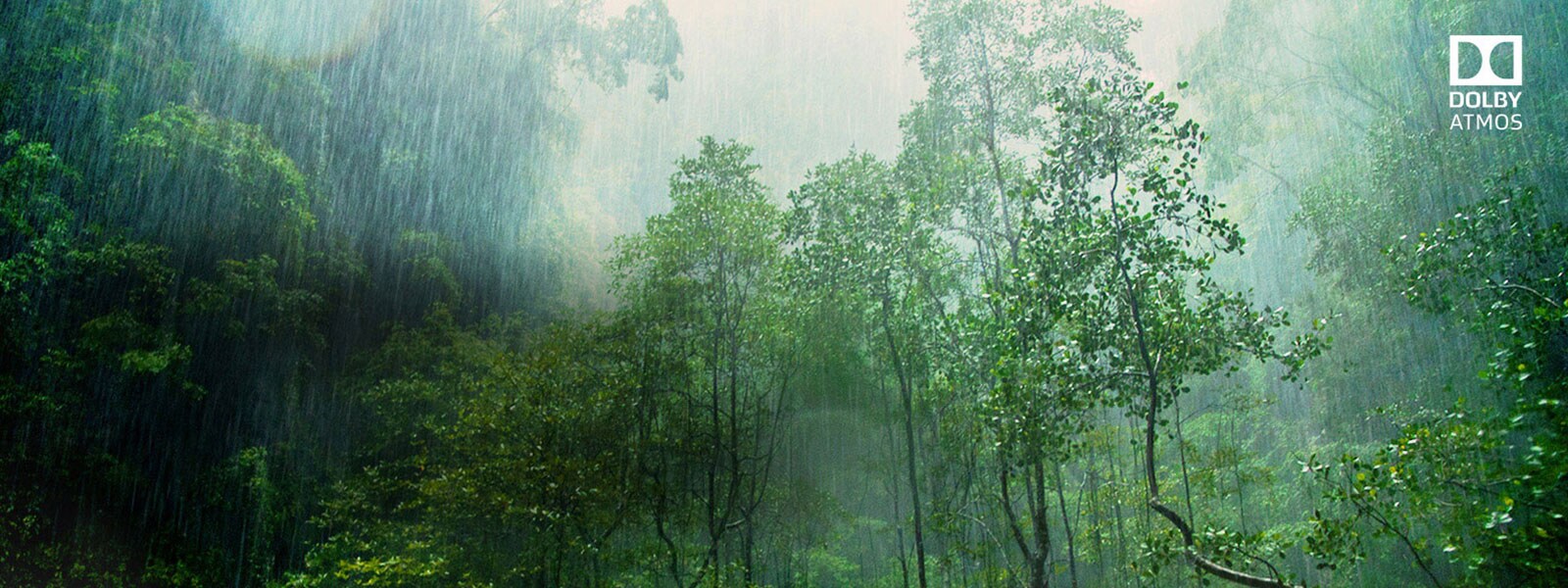 08_SK95_AS_Dolby_Atmos_desktop_banner