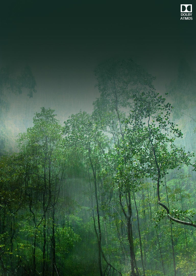 08_SK95_AS_Dolby_Atmos_desktop_banner_m