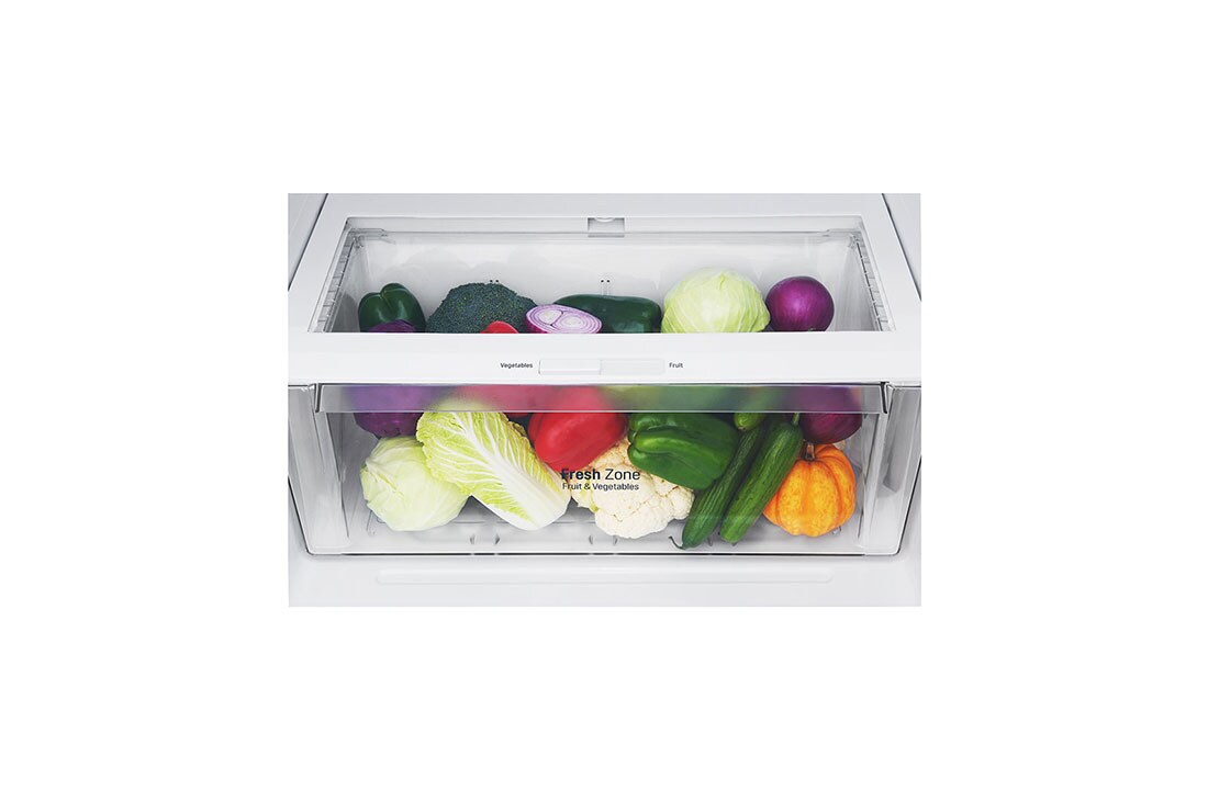 lg refrigerator storage bin