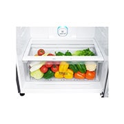 LG מקרר מקפיא עליון בנפח 506 ליטר, Drawer Vegetable  View, GR-M6781SU, thumbnail 6
