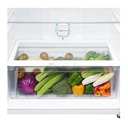LG מקרר מקפיא עליון בנפח 506 ליטר, drawer food, GR-M6781BU, thumbnail 7