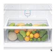 LG מקרר מקפיא עליון בנפח 506 ליטר, open shelves view, GR-M6781BU, thumbnail 8