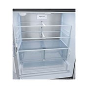 LG מקרר 3 דלתות בנפח 750 ליטר, storage view , GR-B278SE, thumbnail 6