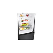 LG מקרר מסוג מקפיא-תחתון בעל טכנולוגיית Door Cooling+™‎ וקיבולת של 462 ליטר בגימור שחור מט, freezer storage view, R-2B479B, thumbnail 5