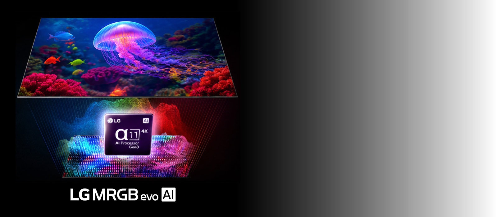 הדור הבא של ה-LCD: הכירו את LG Micro RGB evo