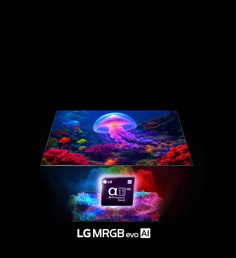 הדור הבא של ה-LCD: הכירו את LG Micro RGB evo