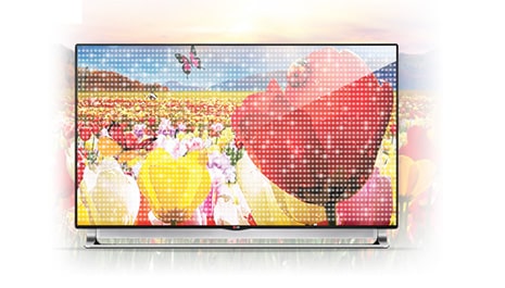 ניגודיות צבע מדהימה