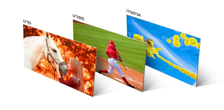 שלוש תמונות, אחת מציגה בנות מנשקות סוס, השנייה מציגה שחקן כדורגל בועט בכדור והשלישית מציגה תמונה מצוירת של מטוס טס בשמים.