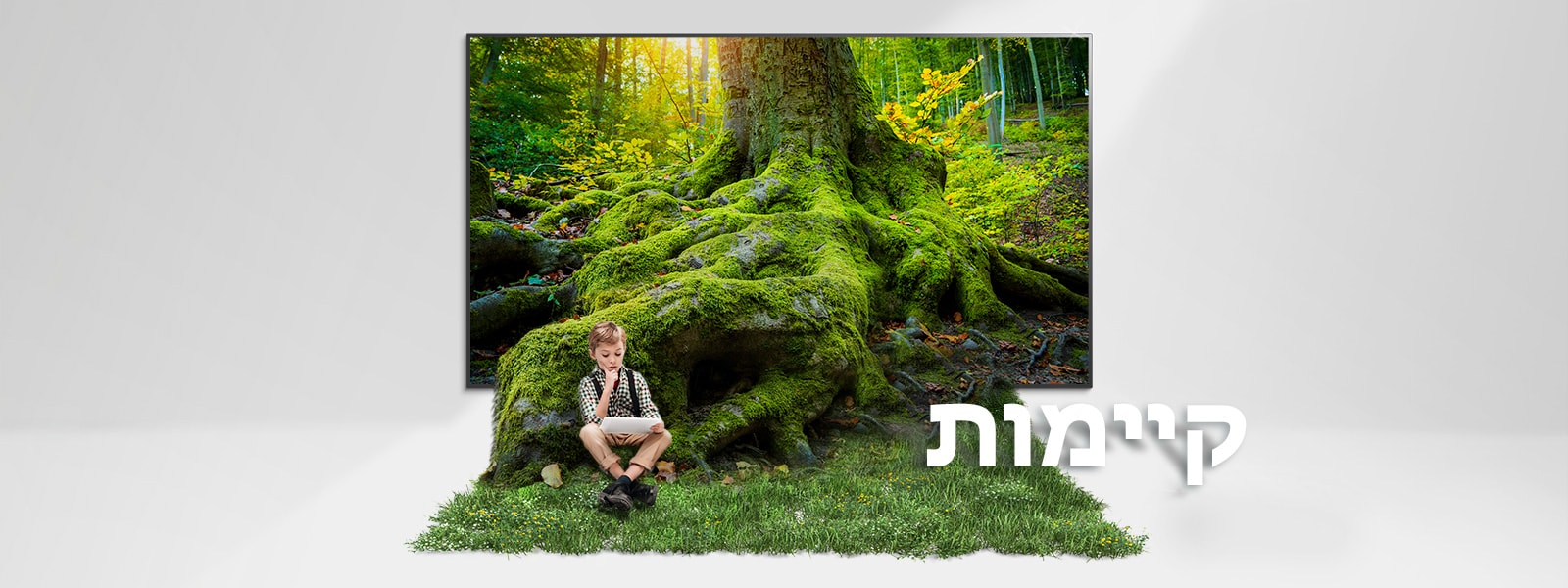 שורש של עץ ענק יוצא ממסך טלוויזיה ומכסה את הרצפה בדשא. ילד יושב על הדשא.