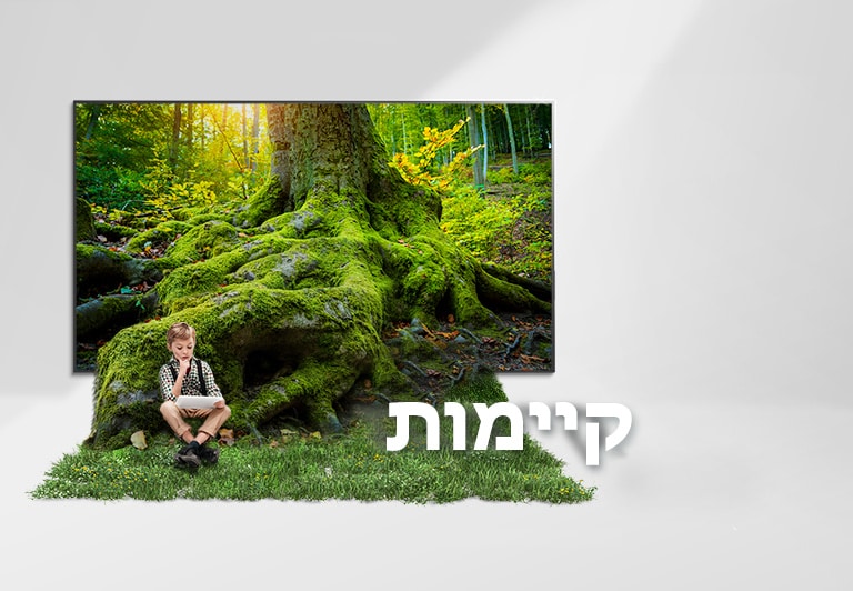 שורש של עץ ענק יוצא ממסך טלוויזיה ומכסה את הרצפה בדשא. ילד יושב על הדשא.