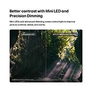 LG טלוויזיה חכמה LG QNED evo AI Mini LED QNED85 4K 2026 86 אינץ, טלוויזיית LG QNED evo AI QNED85 Mini LED מדגישה את ה-Mini LED עם Precision Dimming בסצנת יער במסך מפוצל, ומשווה בין LED קונבנציונלי, לבין צבעי שחור עמוקים יותר וניגודיות מעודנת יותר כאשר אור השמש מסנן דרך העצים לקבלת בהירות ועומק גדולים יותר., 86QNED85B6T, thumbnail 5