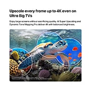 LG טלוויזיה חכמה LG QNED evo AI Mini LED QNED85 4K 2026 86 אינץ, טלוויזיית LG QNED evo AI QNED85 Mini LED עם AI Picture Pro ו- Dynamic Tone Mapping Pro מציגה סצנה מתחת למים של צב ים השוחה מעל אלמוגים ודגים, כאשר ה-AI מזהה ומשדרג כל פריים לרזולוציית 4K., 86QNED85B6T, thumbnail 7
