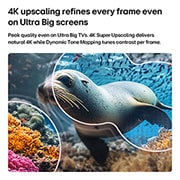 LG 85 אינץ', טלוויזיה חכמה LG NANO 4K UHD AI NU85 2026, טלוויזיית LG NANO 4K UHD AI NU85 עם טכנולוגיית Upscaling (הגדלת רזולוציה) 4K ו-Dynamic Tone Mapping מציגה סצנה מתחת למים של אריה ים, כאשר ה-AI מזהה ומשדרג כל פריים עד לרזולוציית 4K., 85NU850B6LA, thumbnail 7