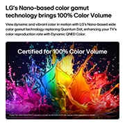LG טלוויזיה חכמה LG QNED AI Mini LED QNED70 4K 2026 55 אינץ', טלוויזיית LG QNED AI QNED70 Mini LED עם Dynamic QNED Color ממלאת את המסך בהתפרצויות מלאות חיים ונוזליות של תנועה צבעונית, דמוית צבע, המציגה חיוניות צבע משופרת המאושרת לנפח צבע של 100%., 55QNED70B6T, thumbnail 3