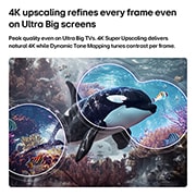 LG טלוויזיה חכמה LG QNED AI Mini LED QNED70 4K 2026 75 אינץ', LG QNED AI QNED70 Mini LED עם 4K Super Upscaling ו-Dynamic Tone Mapping מציג סצנה מתחת למים של לווייתן אורקה שוחה, בזמן שהבינה המלאכותית מזהה ומשדרגת כל פריים לרזולוציית 4K., 75QNED70B6T, thumbnail 7