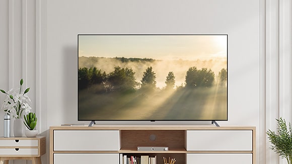 LG OLED A2 ניצבת בחדר לבן עם רהיטי עץ וצמחיה