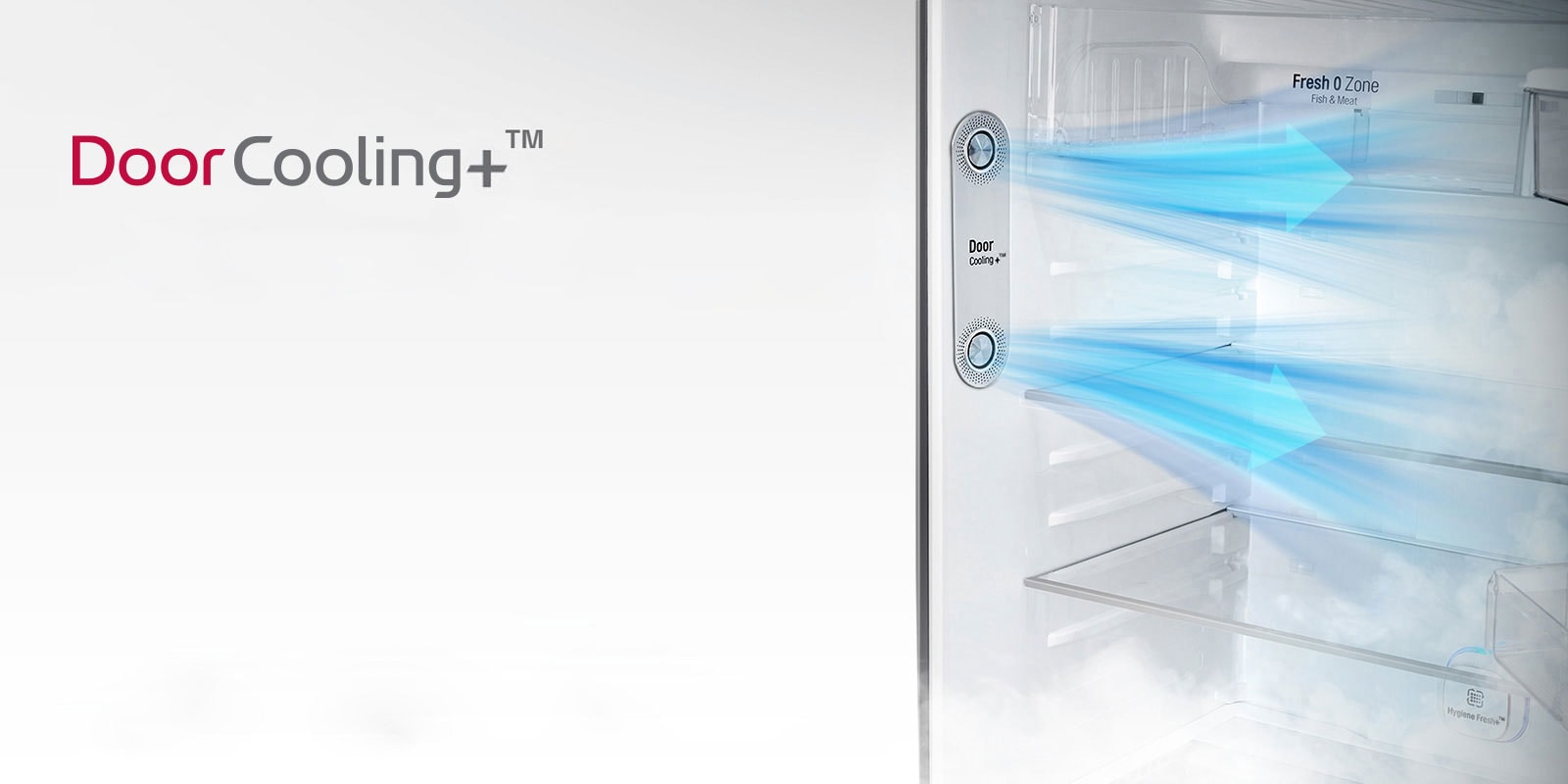LG GL-T432AESY Door Cooling