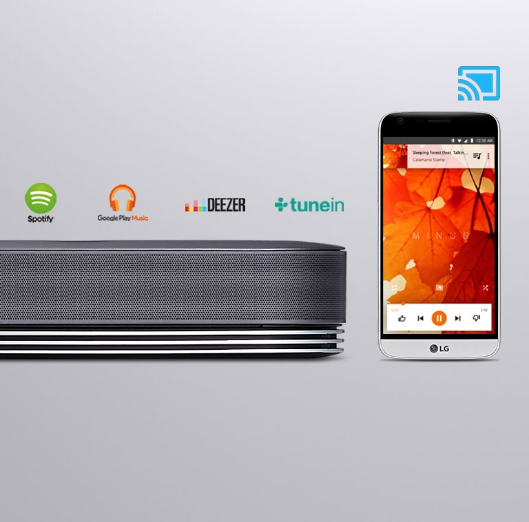 Chromecast built-in2