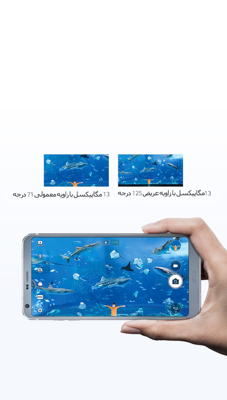 همیشه کامل‌ترین عکس2