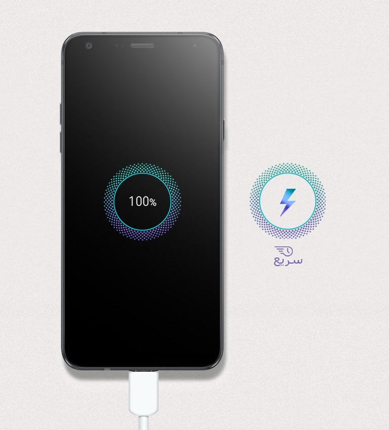 شارژ سریع همراه با USB Type-C2